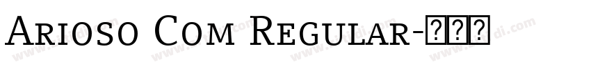 Arioso Com Regular字体转换
